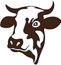 cowBareed3 img