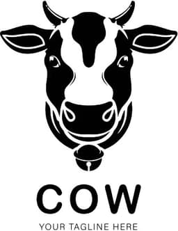 cowBareed4 img
